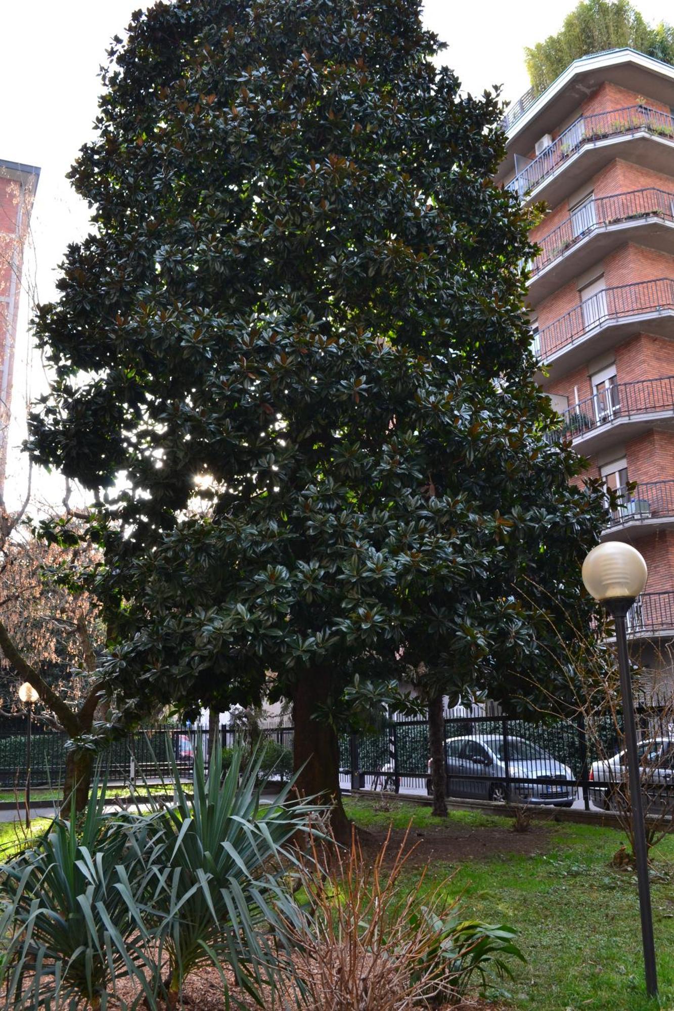 Apartamento Mocenigo4 Milán Exterior foto